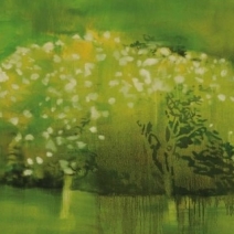Landscape_anda_Still_Life