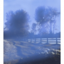 ellen_phelan_study_fence_westport_1024x768