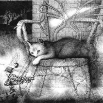 What the Cat Sees, print