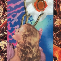 collages-younkins-4