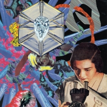 collages-younkins-6